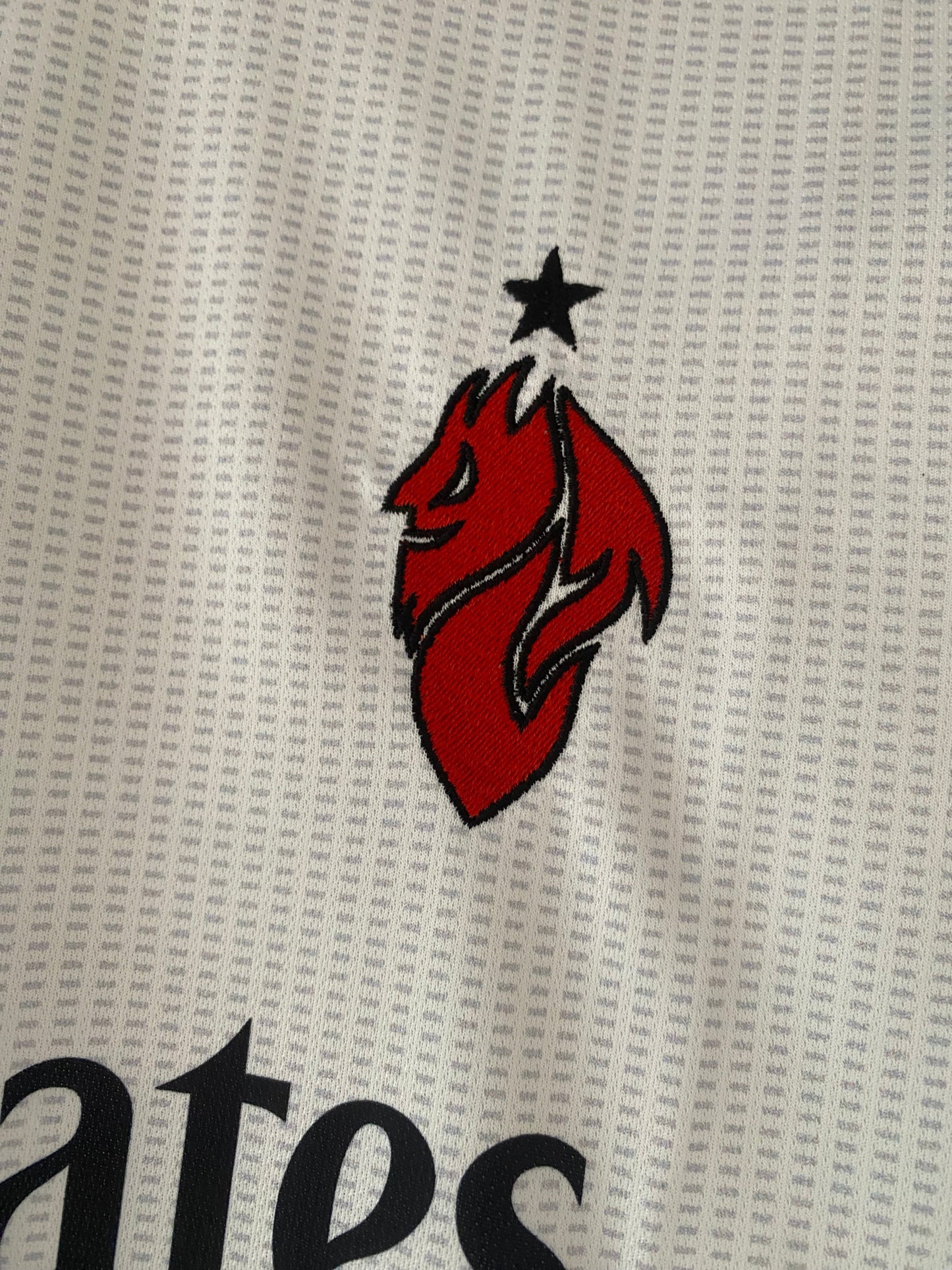Modric Ac Milan Home Half sleeve embroidery - P2086
