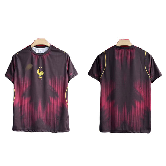France special  edition plain back half sleeve jersey -
