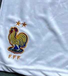 France 2026 Embroidery shorts - P2225